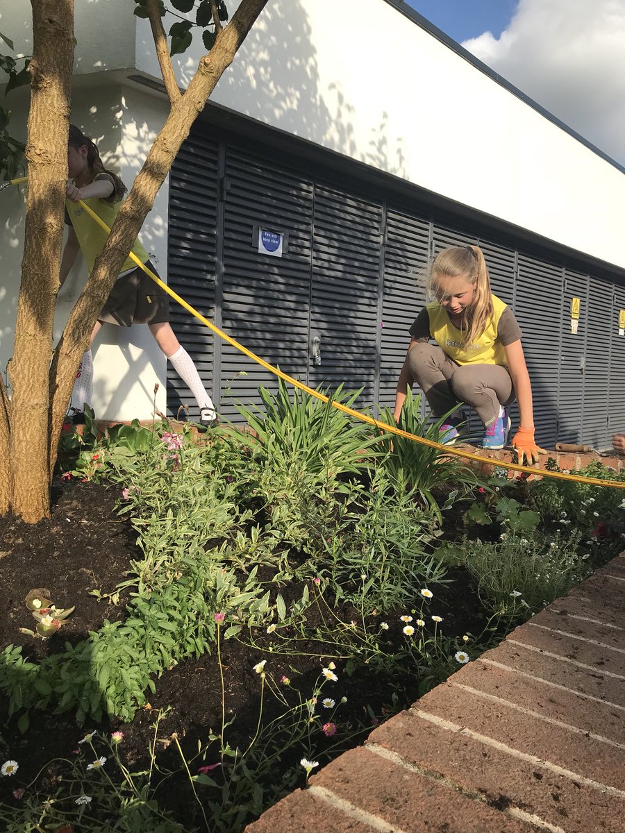 We are finger knitting flowers for The tree and topped up the planting with sunflower seeds. #communityplanting #takecontrol #makeadifference thank you @waitrose @DorkingFriends @SimonEdmands #girlguiding @Guiding_LaSER