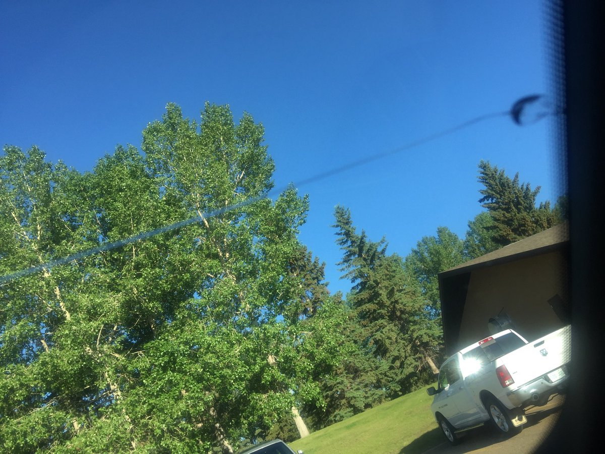 RNedelec's tweet photo. Funny thing happened on the way to the Crystal Glass Golf Tournament today. Gah!!  #crystalglasshereIcome #rockchip more like a #newwindshield  ⁦@zagcreative⁩ ⁦@CrystalGlassLTD⁩ #crystalkidsgolf https://t.co/z3v3qVgQYW
