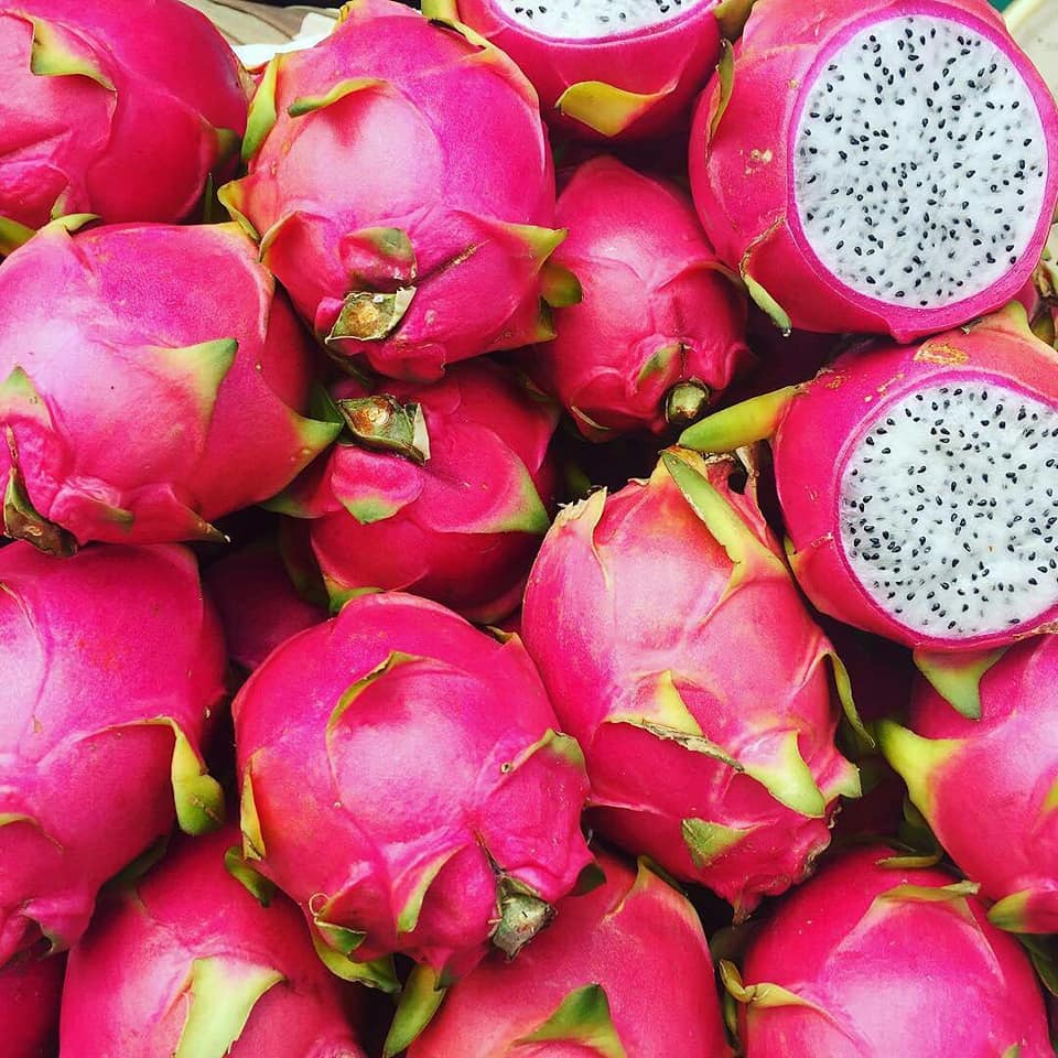 DeAquiSoyQROO's tweet photo. Inicia la temporada de Pitahaya en Quintana Roo. ¿Quién ya probó esta deliciosa fruta?💕💞 #DeAquíSoy https://t.co/vJGsSN3oZ3