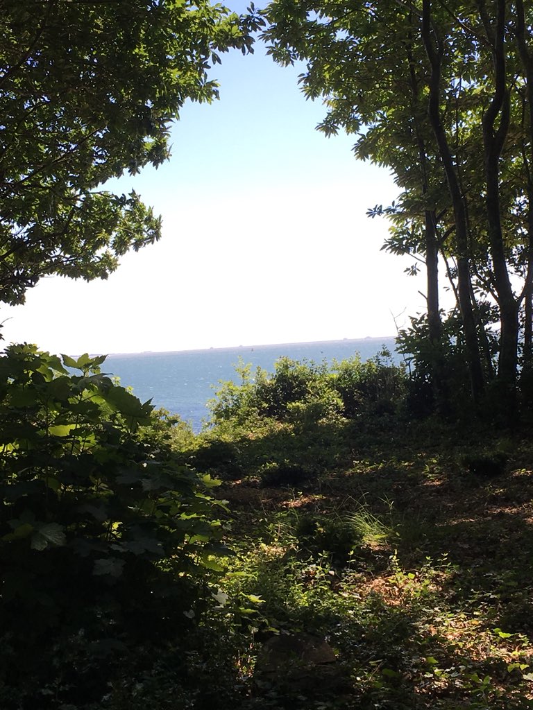 Lucybart3's tweet image. #ViewFromTheOffice #deliveringflowers #privateroad #solent