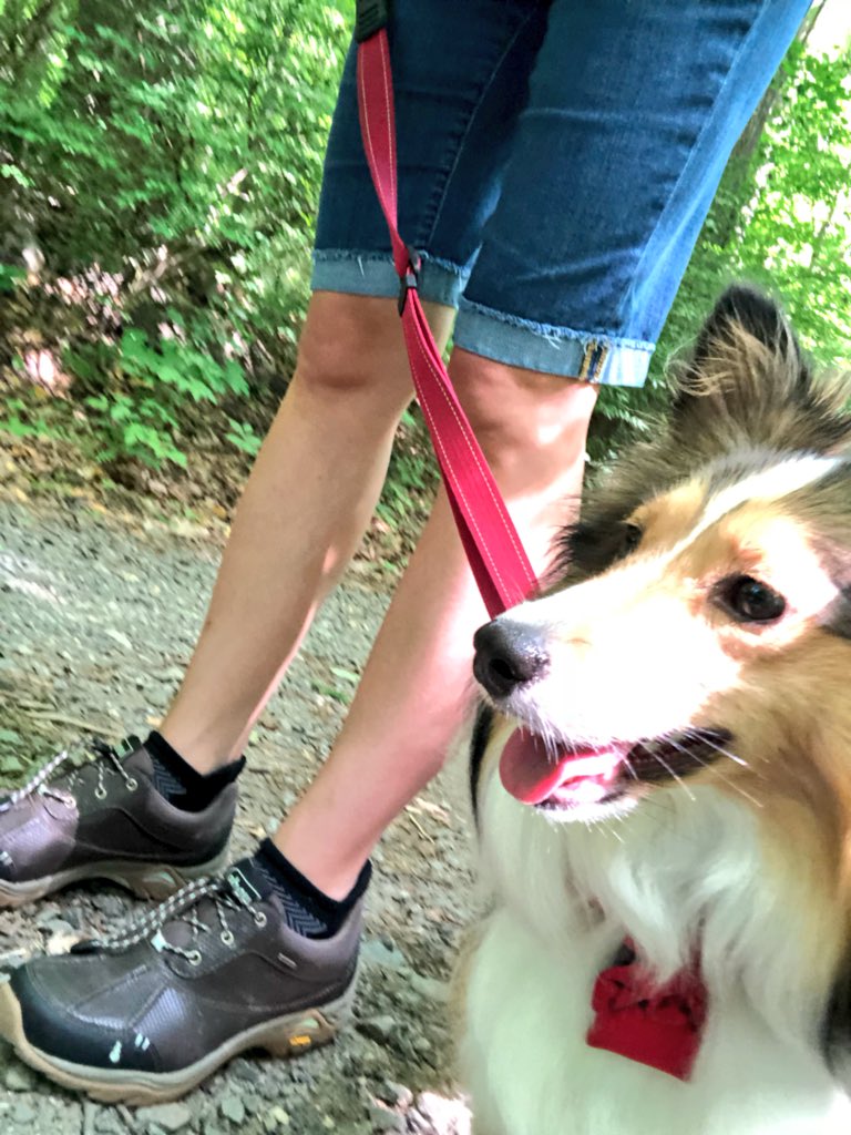 DocLauraLawler's tweet photo. My #currentsituation.
Ignore the ugly, old jean shorts. Fashion doesn’t matter when you are getting #HealthyInHC!😜
#HealthyLiving #HealthyDelaware
#DogsOfTwitter #medpups #JynErso https://t.co/csAGnLo1AP