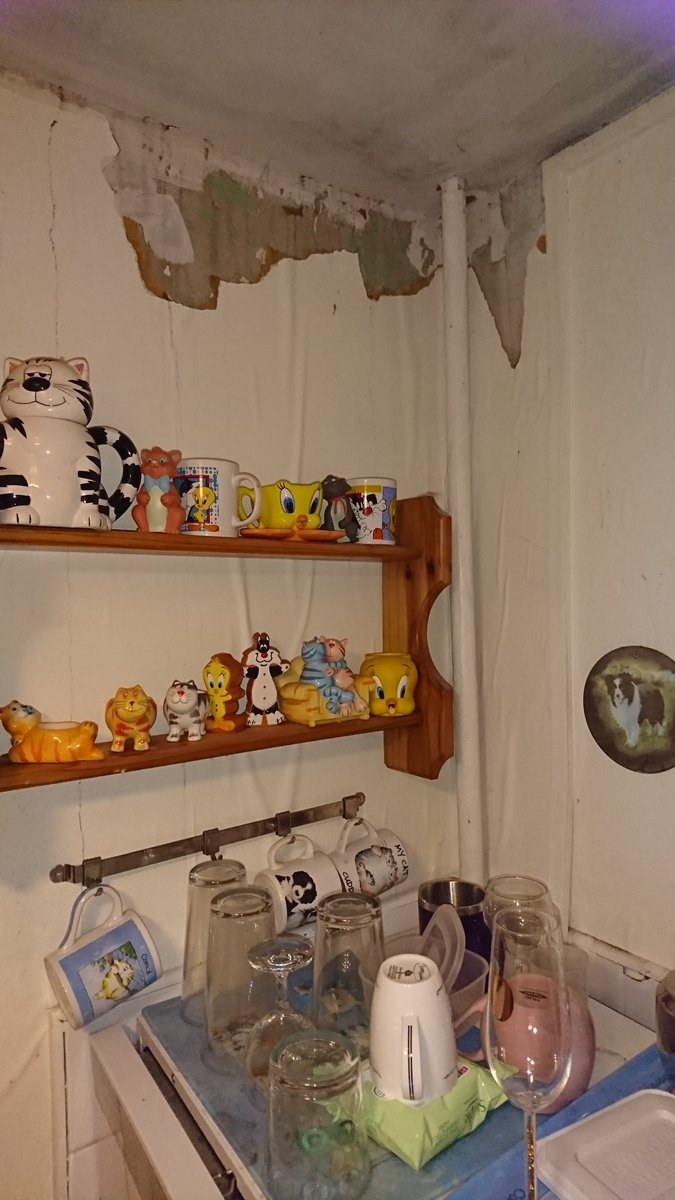 louise patmore tweet media