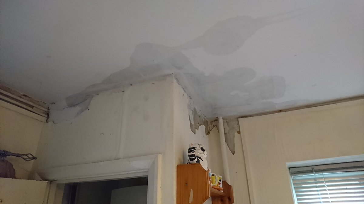 louise patmore tweet media