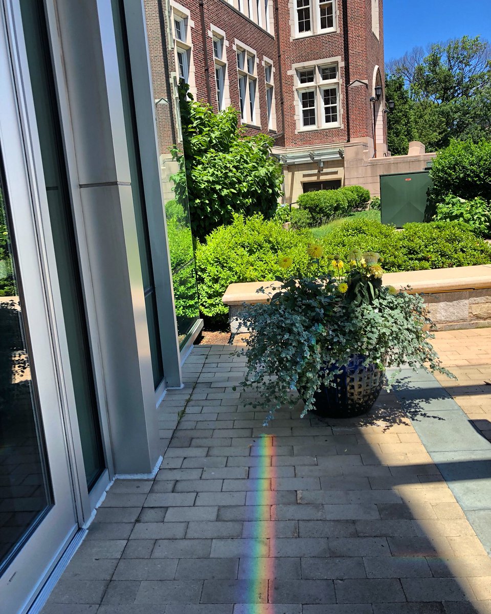 EmmanuelAlumni's tweet image. Rainbows were guiding our way through campus today! 🌈