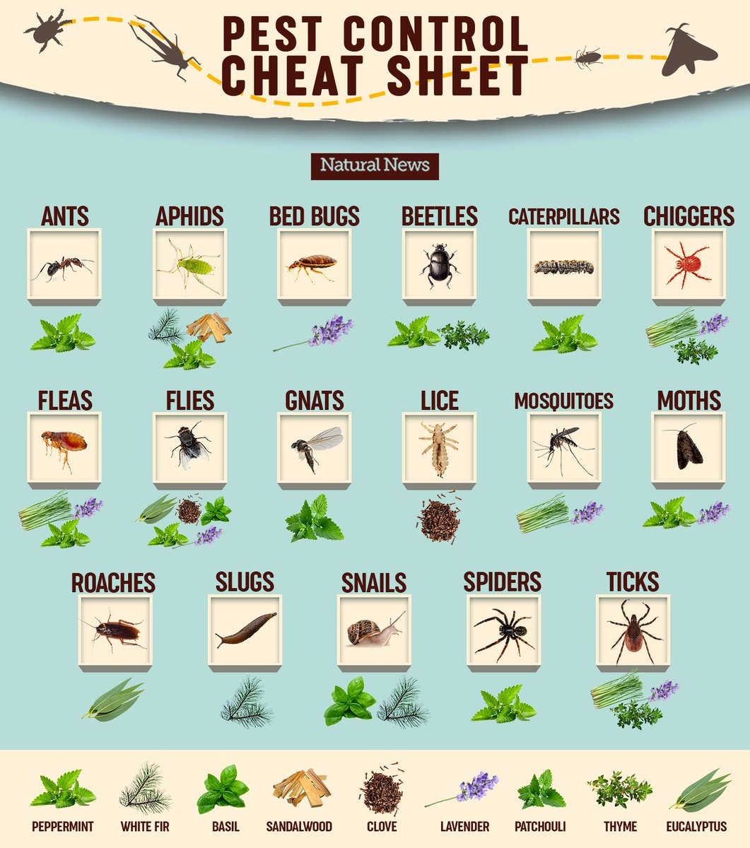 HealthRanger's tweet photo. Herbal pest control sheet.  #gardening #farming https://t.co/x1AGxj6Imo