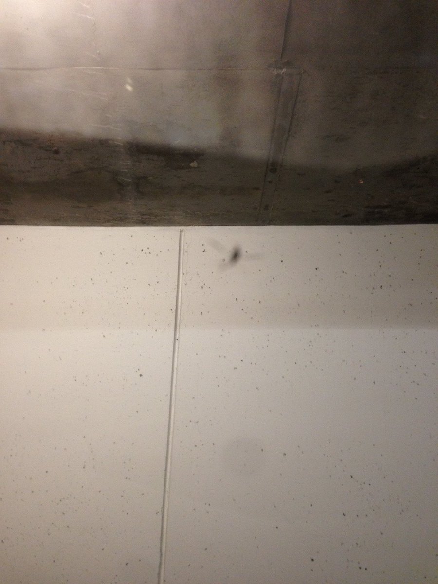 Hanson's tweet image. hai