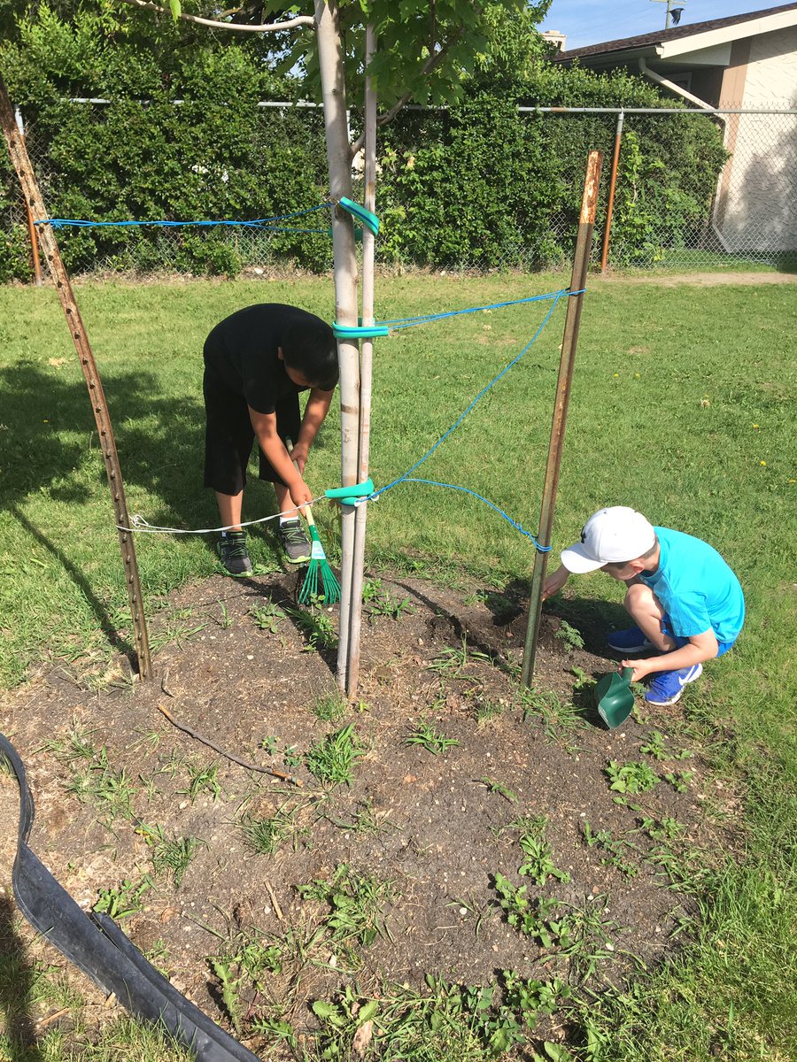 JenAnneWilson's tweet photo. Outdoor Kindergarten Continues!
#findingbugs
#raking
#digging https://t.co/mc9Urb7NpX