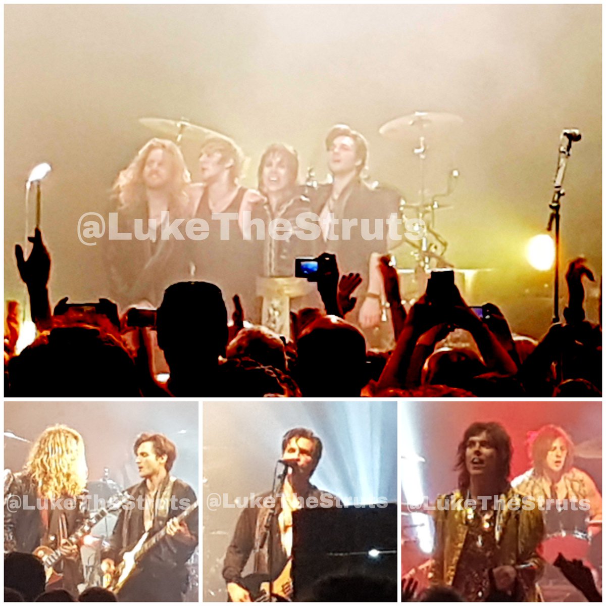 LukeTheStruts's tweet image. Watermarked because I took these myself Xx