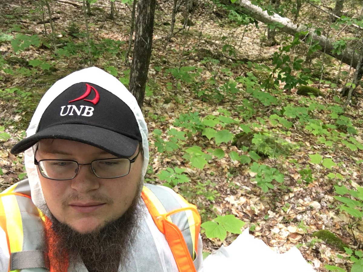 munn_douglas's tweet image. Back at it. Doubled up in Douglas, NB because i’m fond of the name. #BlackleggedTicks #research