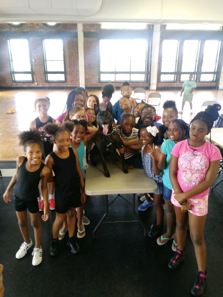 LMPD's tweet photo. When K-9 Franklin isn't putting people in jail, he spends his time volunteering at the YMCA Summer Camp on Chestnut street! Franklin did a narcotics detection demonstration for the kids today. #LMPD #K9 #k9FranklinFTW #Community #YMCA #NarcDog #GoodBoy #DutchShepard #YouthCamp https://t.co/ySu35cRGeI