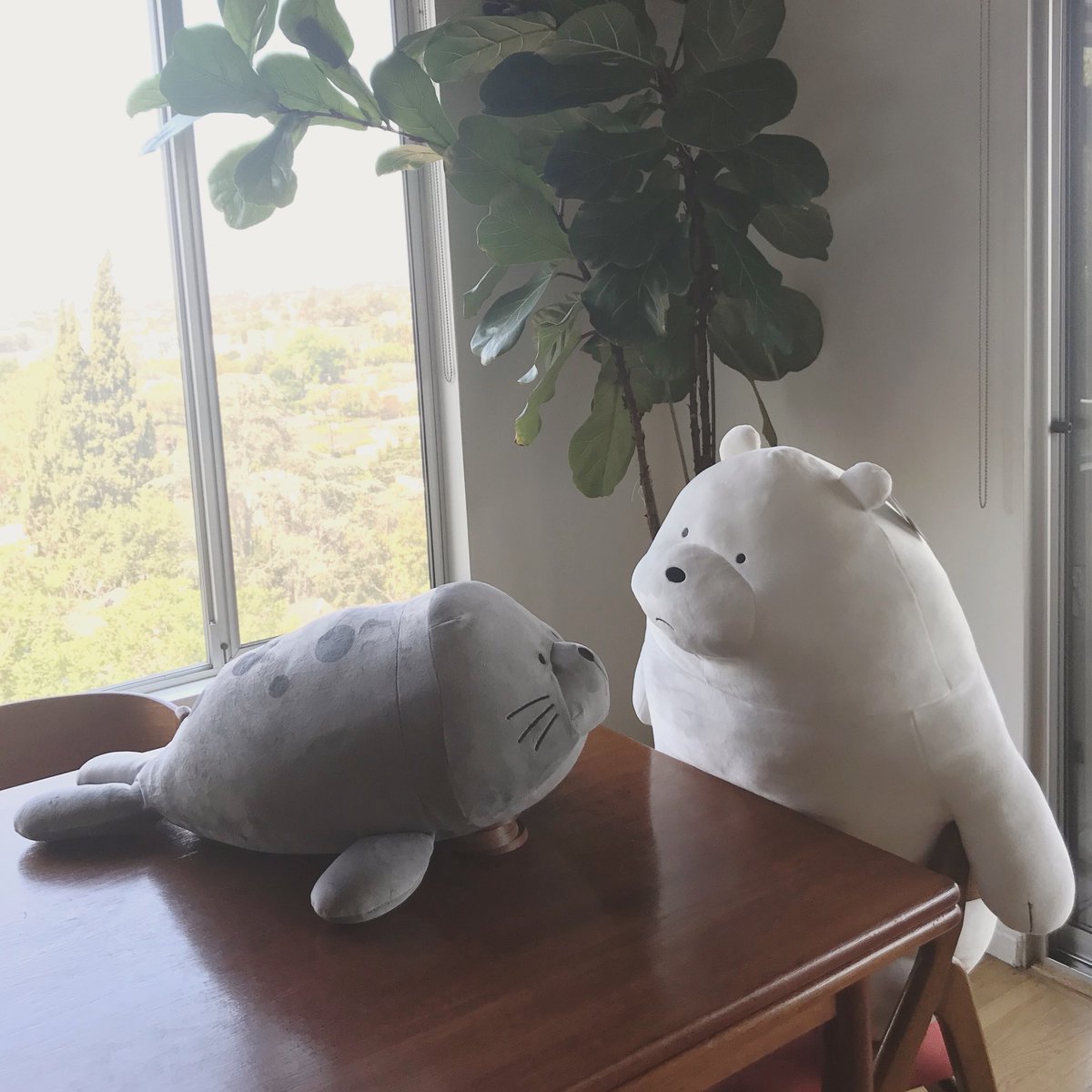 threebarebears's tweet photo. We meet again... https://t.co/SvWY0Fgycl