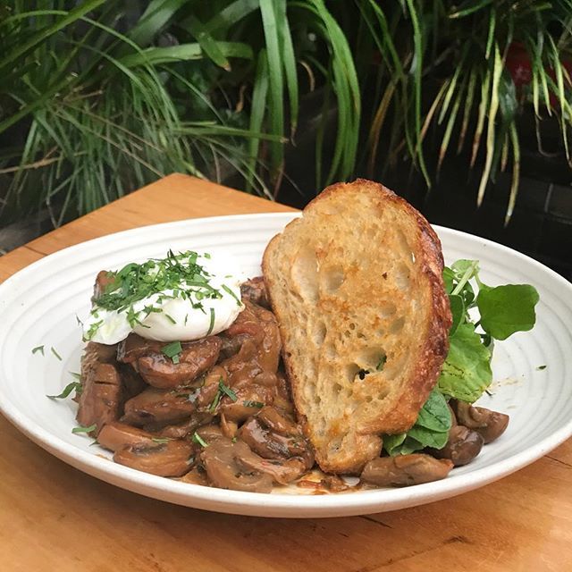 CBD2017's tweet photo. Winter is here ❄️ Warm up with this mushroom special from @substationcafe 🍴😋 #food #foodporn #yum #instafood  #yummy #amazing #brunch  #breakfast #foodie #delish #delicious #foodpic #foodpics #eat #hungry #foodgasms #eataroundsydney #sydneyfoodie #in… https://t.co/gzWWwx4izs https://t.co/0MzSMHMruU