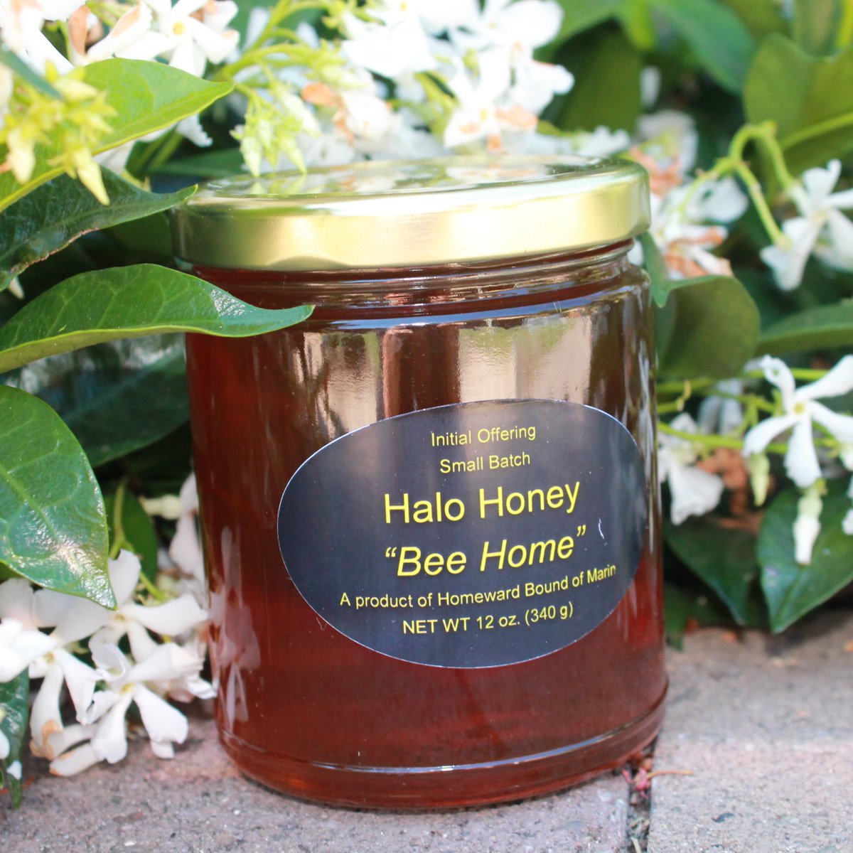 HomewrdBndMarin's tweet photo. The first honey harvest of the year is in the jar! If you need local Novato honey, stop by our Admin Office. #Novato #shoplocal #honey #madeinMarin https://t.co/t9IipR01G1