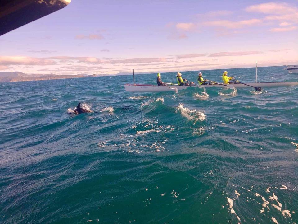 Incredible story of 4 ex-international female rowers that rowed the unpredictable 94km kilometers between the Nrth &amp; Sth Islands of #NewZealand to raise money/awareness for Through the Blue, a charity that tackles depression &amp; anxiety in teenage students worldrowing.com/news/rowing-ro…