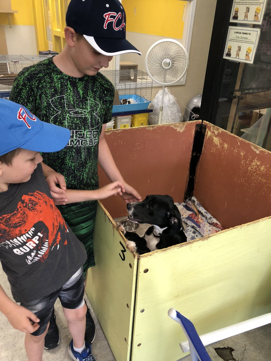 RathAuto's tweet photo. We took our younger Rath Auto ambassadors with us to make our charity rounds last week. Check out our trip to #FCA, #RiverValleyRegionalFoodBank and the #SebastianCounty #HumaneSociety. #rathautoresources #RathAuto https://t.co/0KZ4zBqBKj