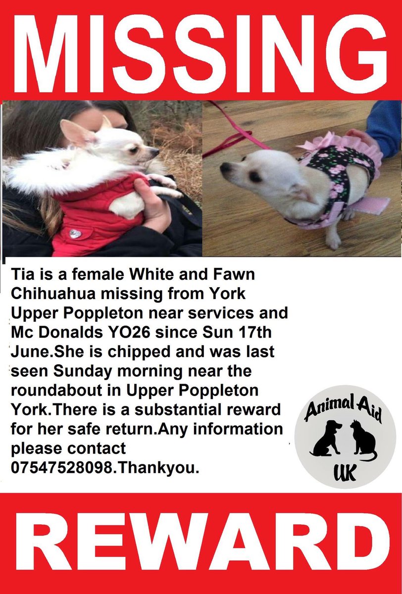 rosiedoc666's tweet photo. โค๏ธ๐HOME SAFE ๐โค๏ธ TIA a white & fawn #Chihuahua missing from #York #UpperPoppleton near services & #McDonalds #YO26 since Sunday 17/6 she's #chipped
TGERE IS A #substantialReward SHES TINY & WILL BE SO SCARED ON HER OWN & VERY CONFUSED
๐ฅDO NOT CHASE IF SEEN๐ฅ https://t.co/m7rsgWBdvF