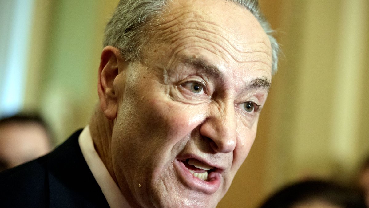 Chuck Schumer 2009: Illegal Immigration is wrong, plain and simple