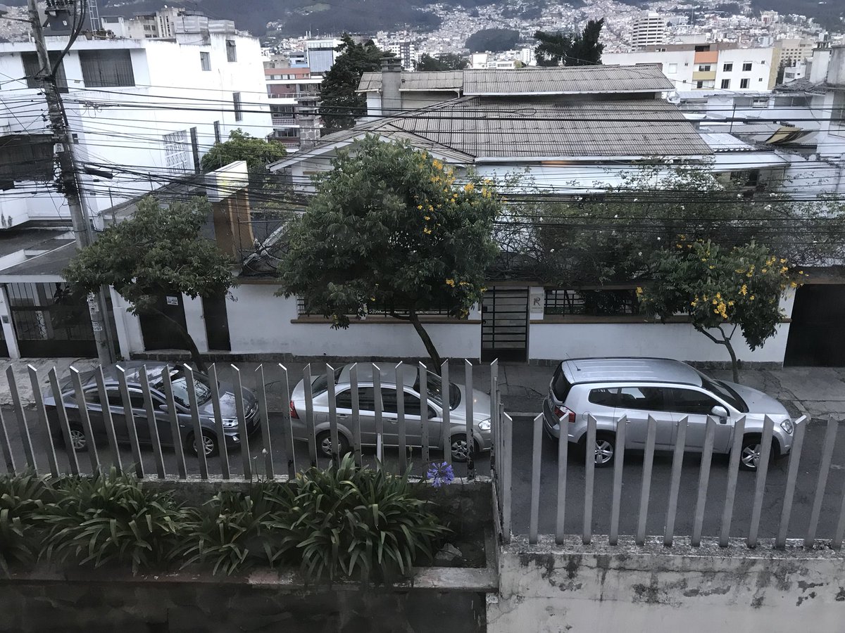 jo53torres's tweet photo. @AMTQuito  por favor hacer algo respecto a los mal estacionados en la caamaño y San Ignacio, es prohibido parquear y sin embargo el cuidador hace parquear ahi. Y si no se le paga te destroza el auto. https://t.co/2oBbr6r6rQ