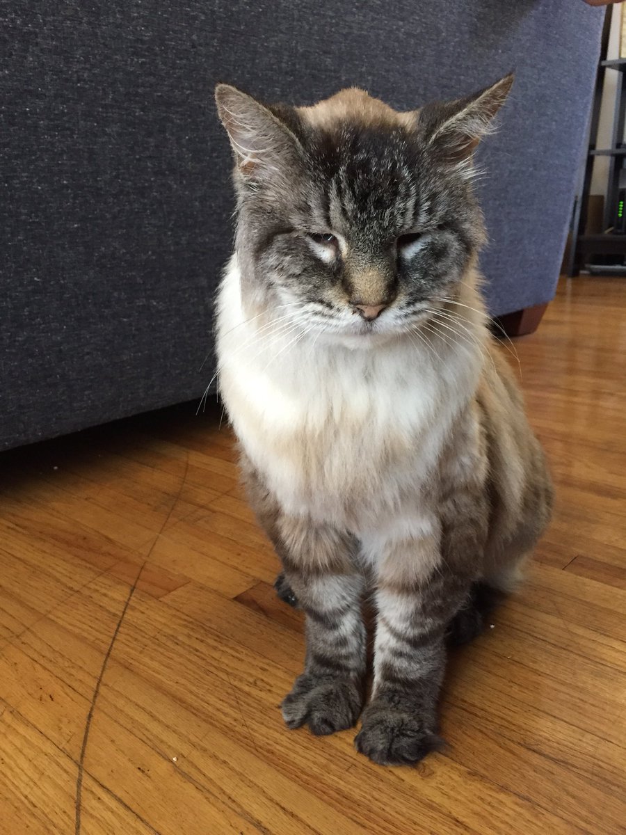 Vincent Apostol tweet media