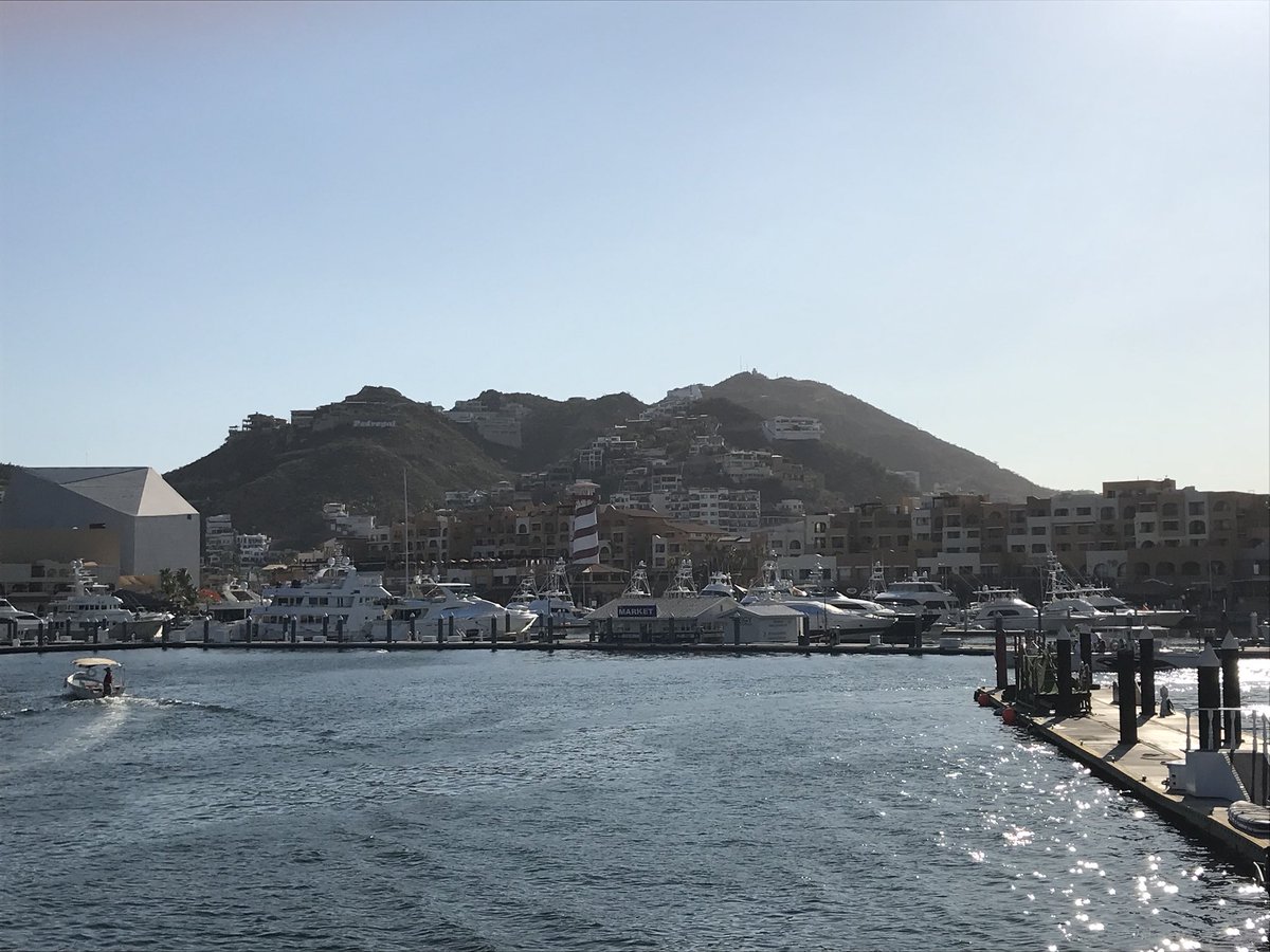 Tom Savino tweet media