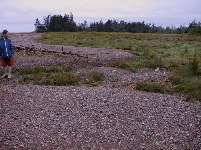 Extreme sediment size contrasts are everywhere. These three pics were taken on the same spot at loc. 8. The gravel is washed out from glacial till. Active washover deposits exist next to muddy tidal channel facies.