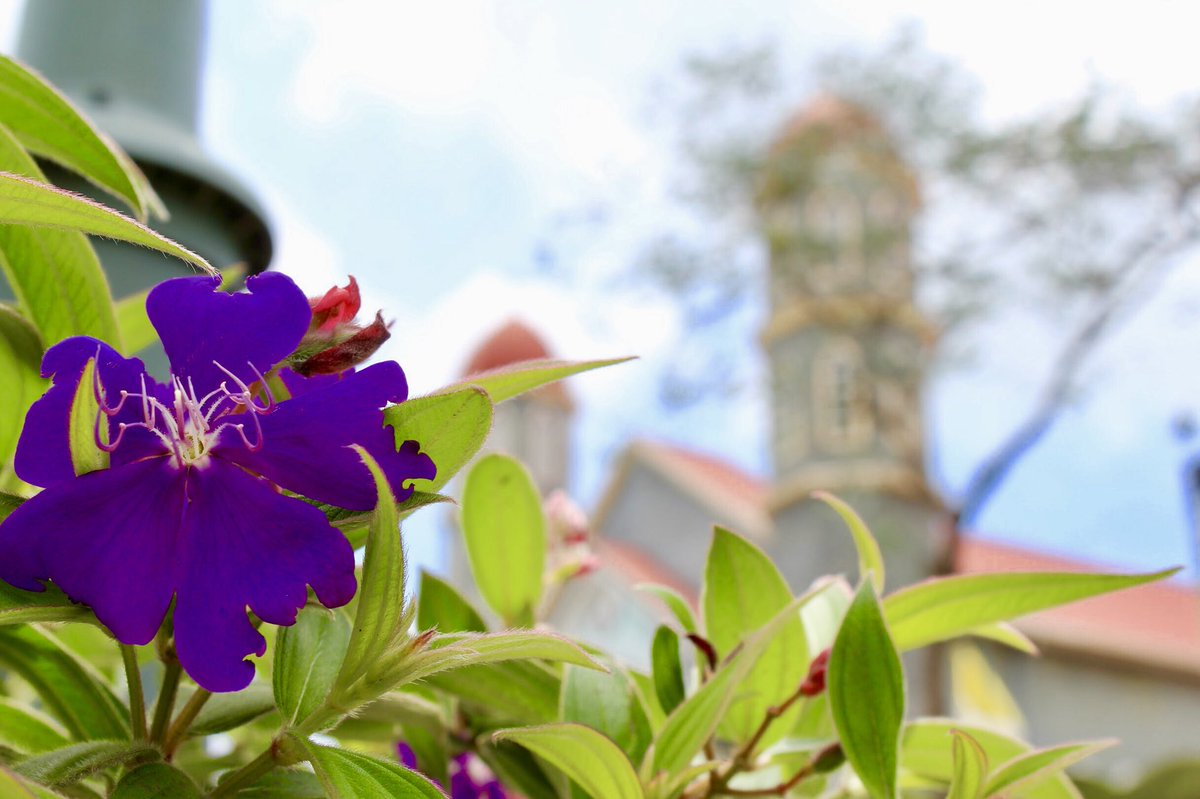 FHCMaxwell's tweet image. So much was done, seen, experienced, learned, and will be missed! Our 2018 student trip to Costa Rica so great! Who wants to be in Belize next summer?!?!? #EFTours #teachingoutsidetheclassroom #learnthroughliving