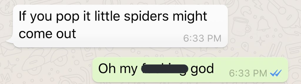 JP texting “if you pop it little spiders might come out” with Aureylian replying “oh my god”