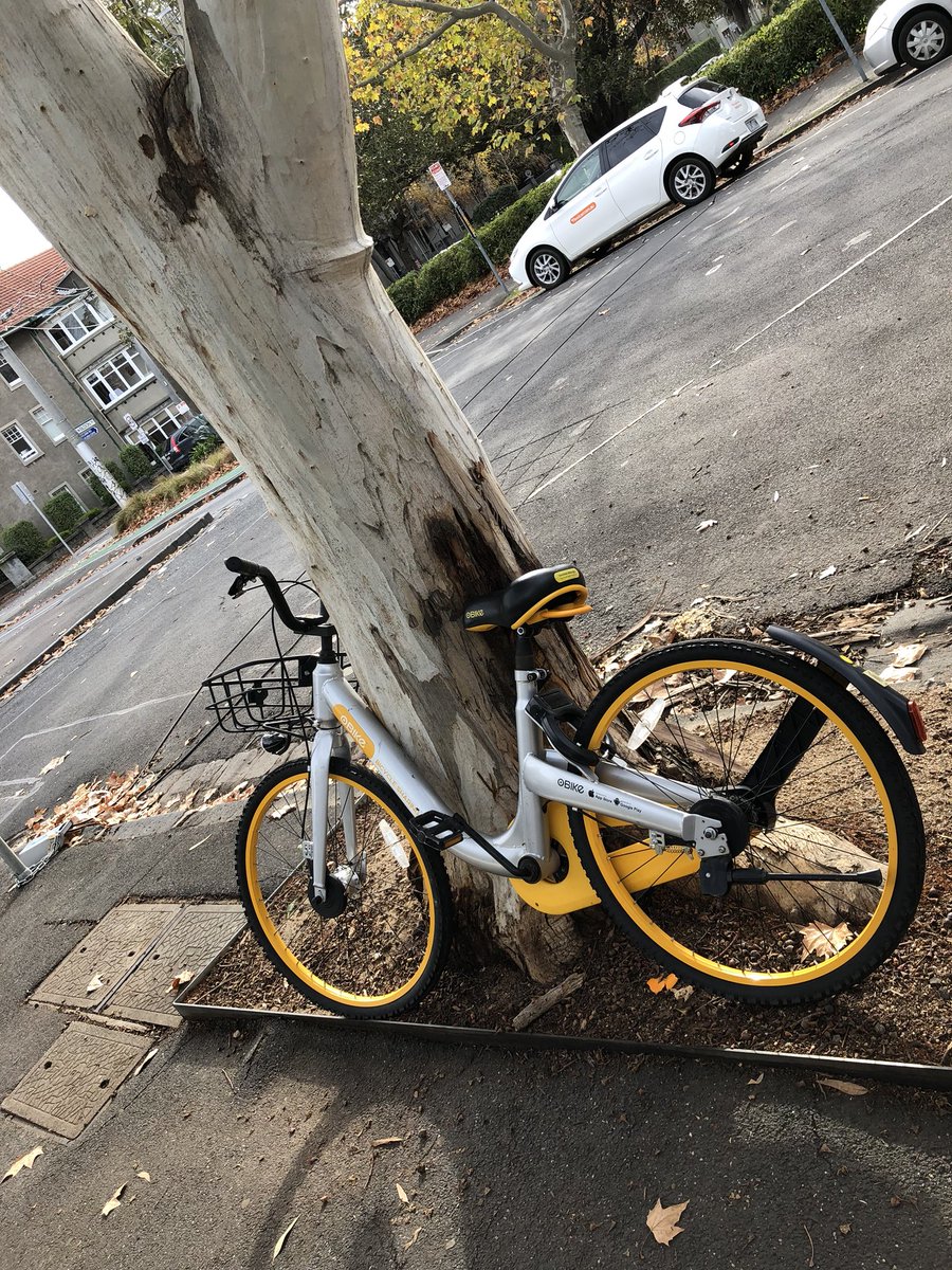 Isk137's tweet photo. Found six #obikes in #Stkilda this morning near the Esplanade @AustraliaObike @EPA_Victoria @cityportphillip #Melbourne https://t.co/qR5Tp1BQ3k