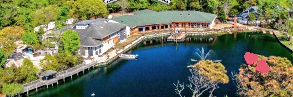 AnneFullerDRI's tweet photo. Team Beachwoods ready to absolutely crush it in the Outer Banks💎💪🏻#diamondstrong #bcwoneunited @natebeasley3 @RhondaWnek @kanis_c @GregWise1 @VickyV09683067 @RobertV02699135 @JIMVW3 @LisaPal42746696 https://t.co/jFwtgOYJj6
