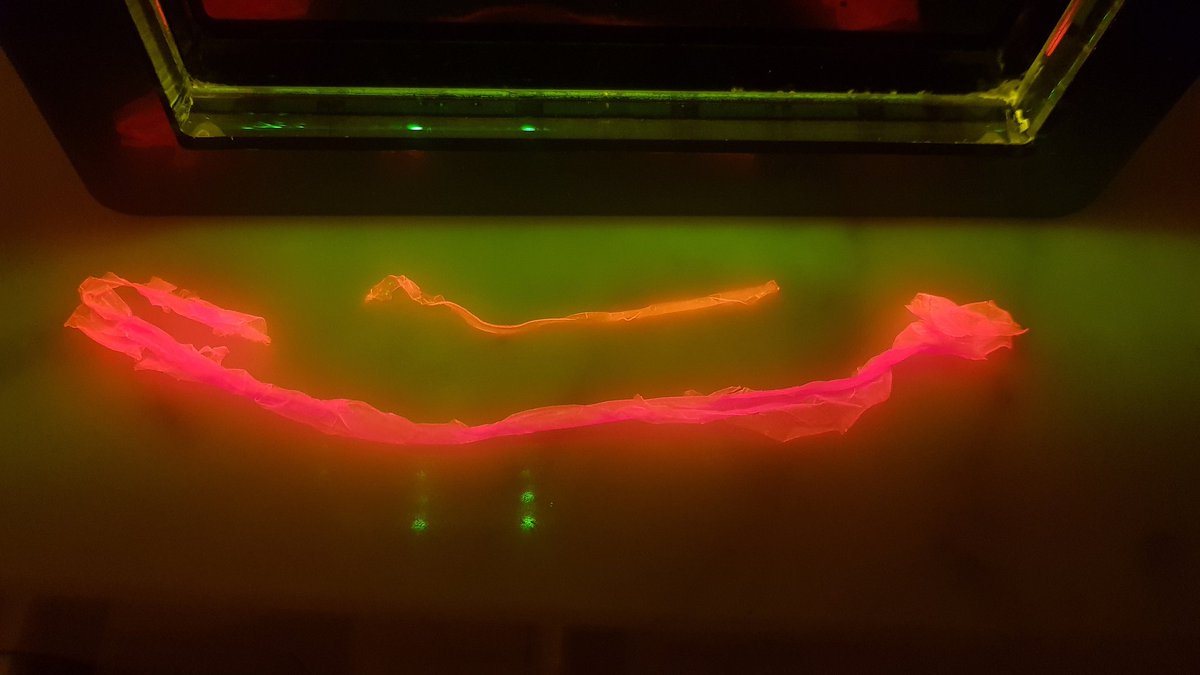 ATinyGreenCell's tweet photo. Red fluorescent protein fiber. 10cm large strand of pure RFP. 512nm blue light excitation wavelength and shot through an orange blue-blocking filter. #fiberdesign #werewool #biodesign https://t.co/63da4ZjYOC