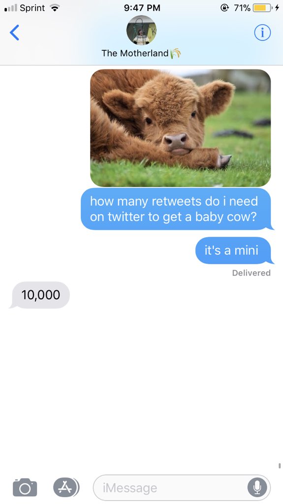 HaleyRock5's tweet photo. it’s a long shot but pls RT SO I CAN GET A COW! https://t.co/80WdiR5tNA