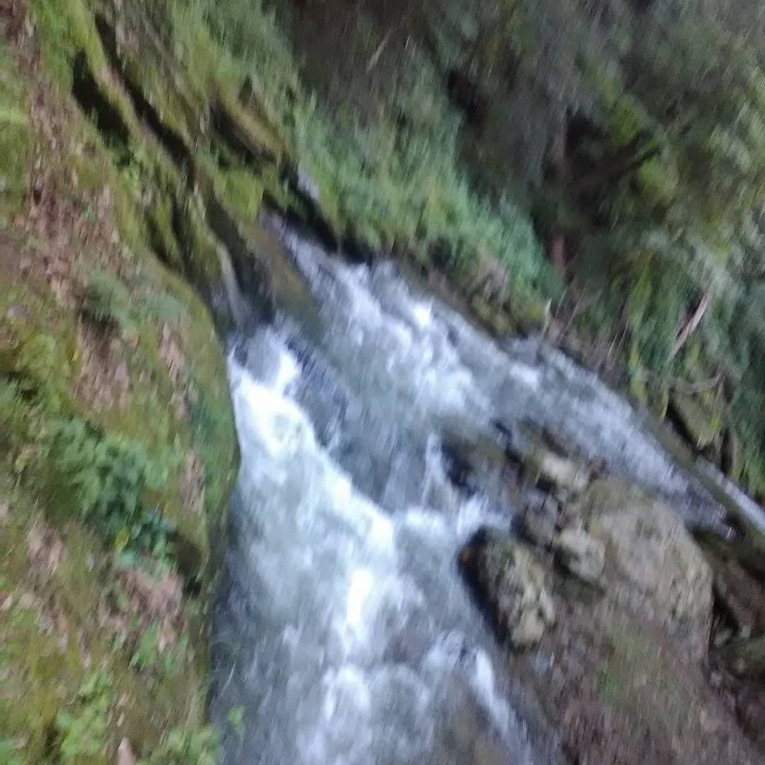 GettysTerry's tweet image. 