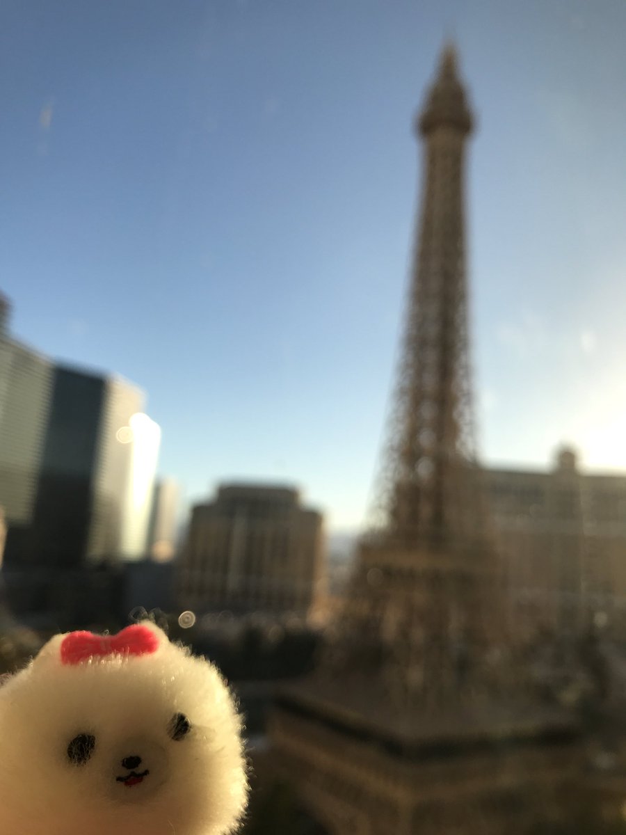 CherryFluffbutt's tweet photo. #minimarshmallow in #Paris #lasvegas https://t.co/HCAEVgukrO