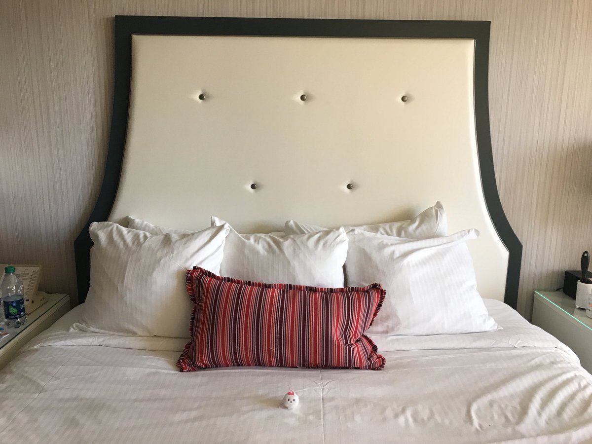 CherryFluffbutt's tweet photo. #minimarshmallow finds these accommodations to be satisfactory #Paris #lasvegas https://t.co/Uho3VGjHyr