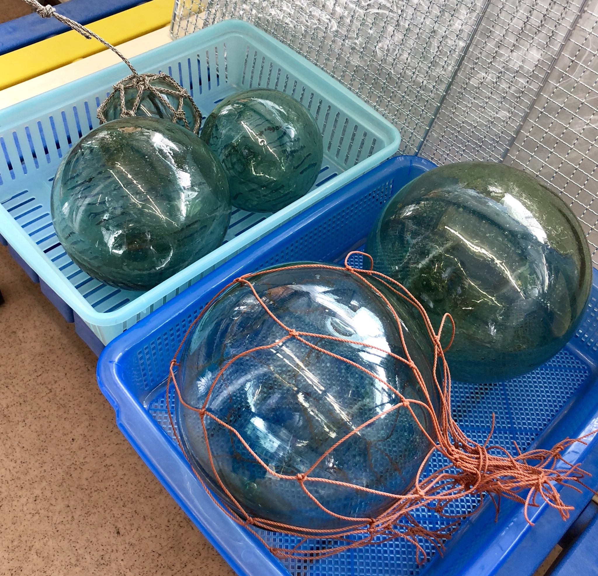 ウエダ釣具店 稚内 ガラスの浮き玉 大中小 ご自由にどうぞ 無料 大はバレーボールくらいございます インテリアにどうかしら 釣具店 ガラス 浮き玉 ウエダ釣具店 稚内 ガラスの浮き玉 大中小 ご自由にどうぞ 無料 大はバレーボールくらいございます インテリアにどうかしら 釣具店 ガラス 浮き玉