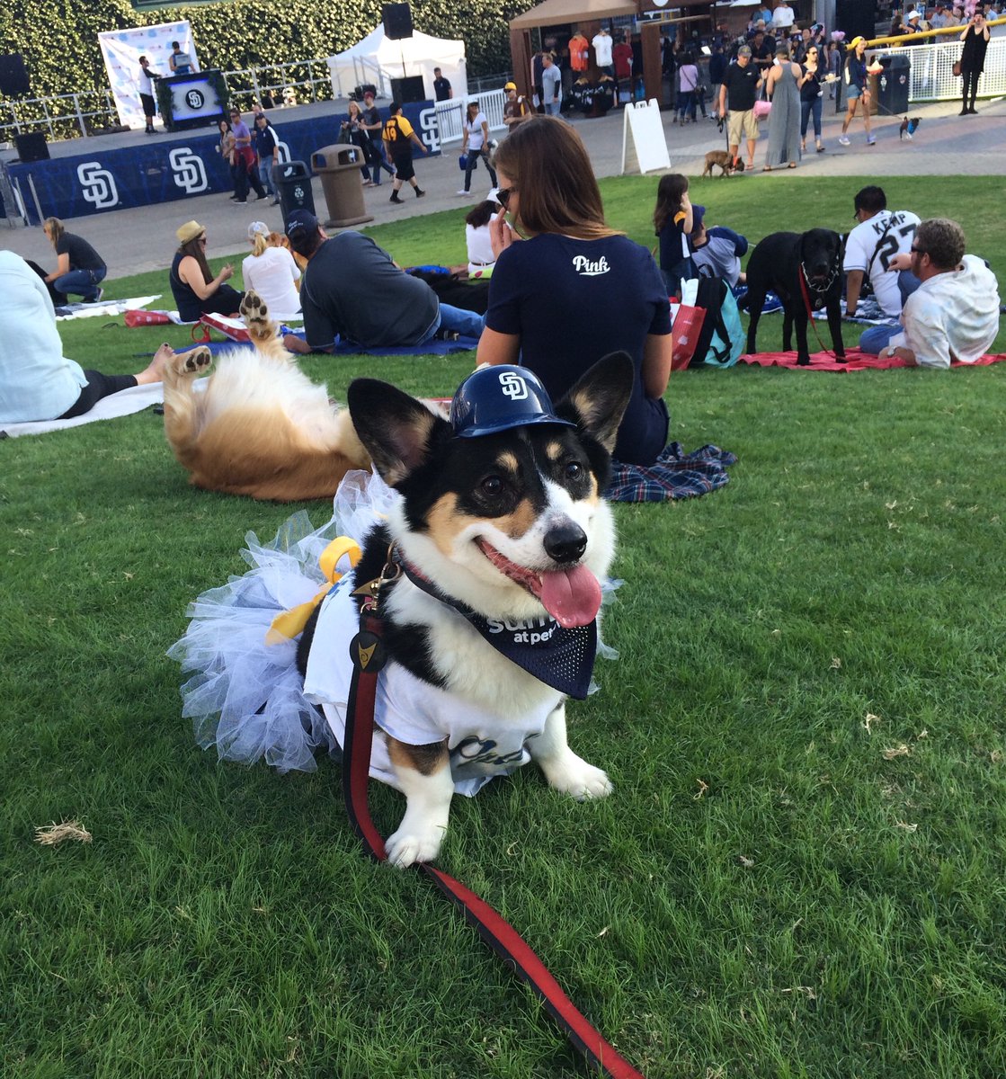 sdmactech's tweet image. #SDinHD