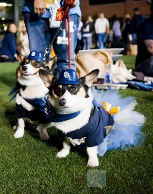 sdmactech's tweet image. #SDinHD