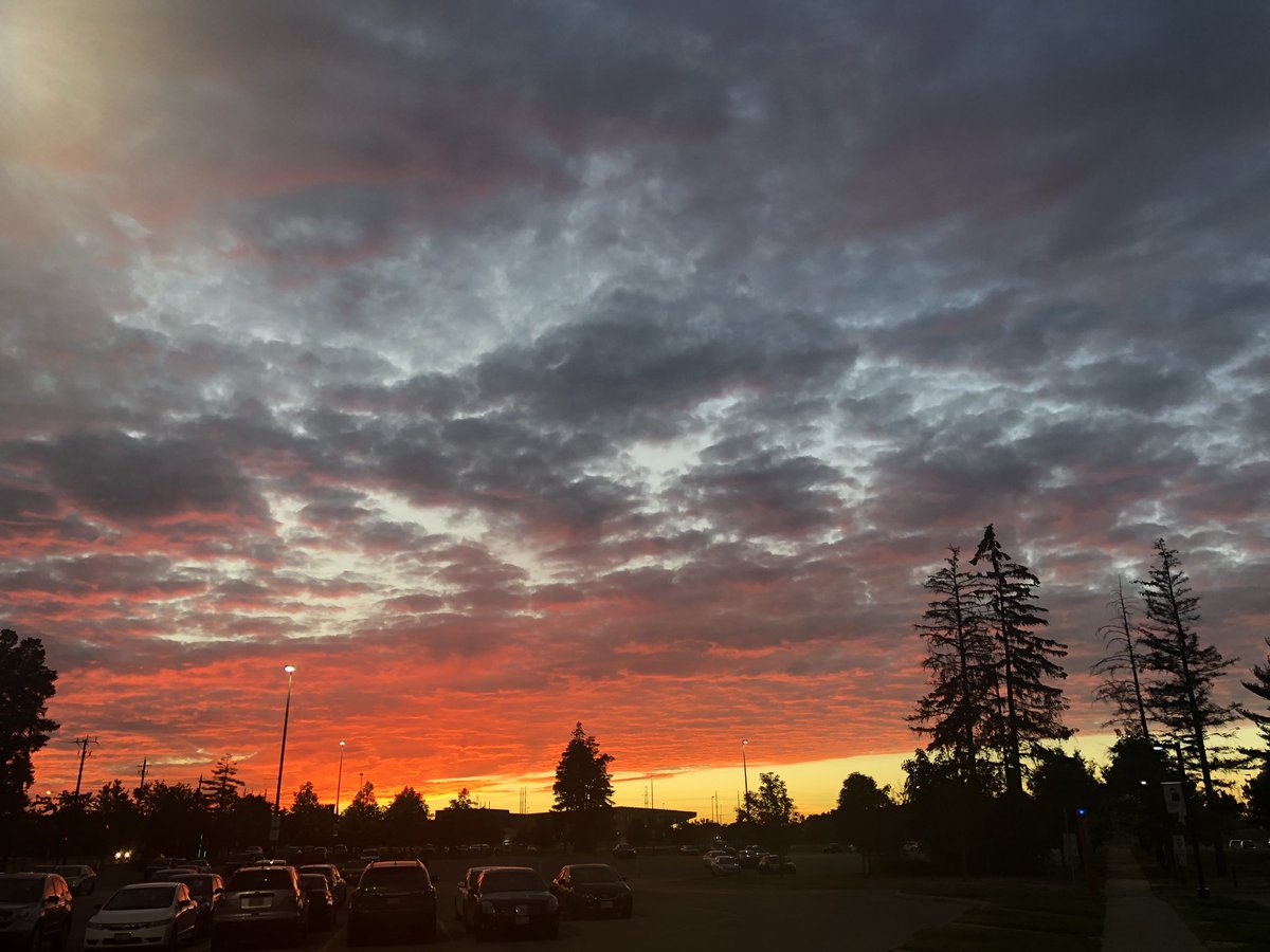 Feeling energized after discussing my research at #IAGLR2018. Such a positive atmosphere! Thank you <a href="/IAGLR/">IAGLR</a>!