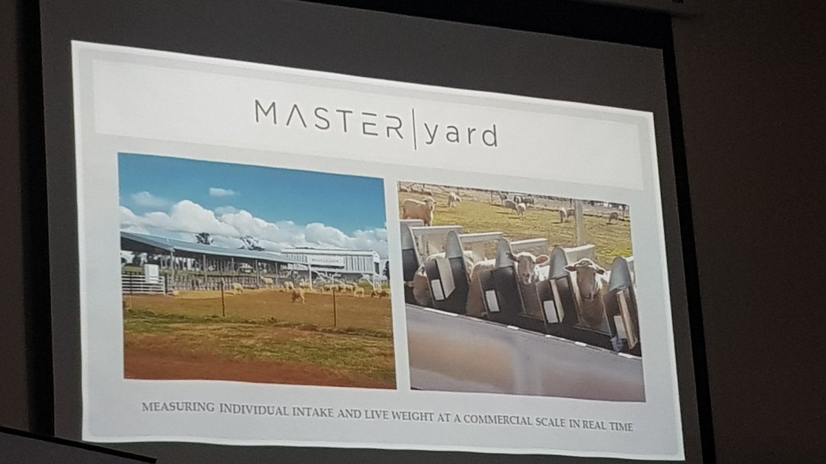 Mark Mortimer tweet media