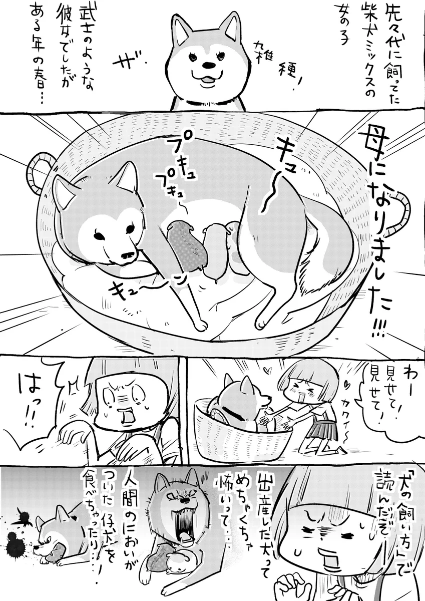 出産したばかりの犬は気が立っている？母になっても忠義な犬ｗｗｗ