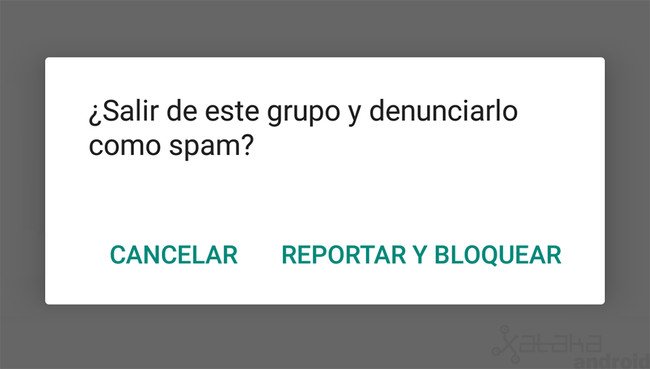 Area Project tweet media