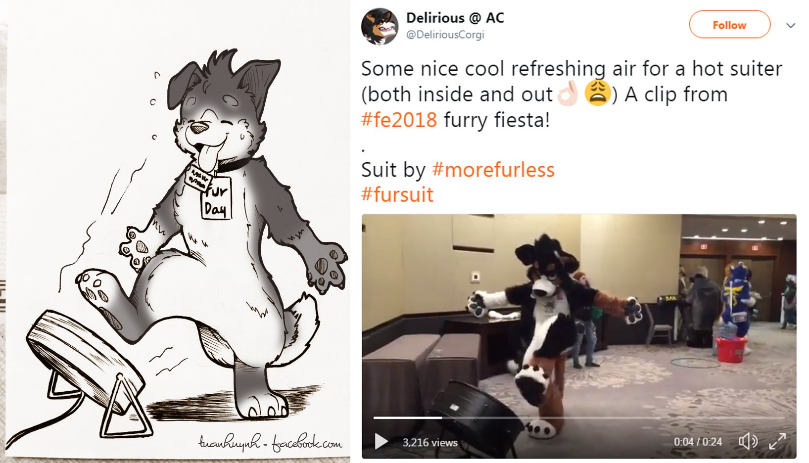 Featured image of post Cute Furry Poses