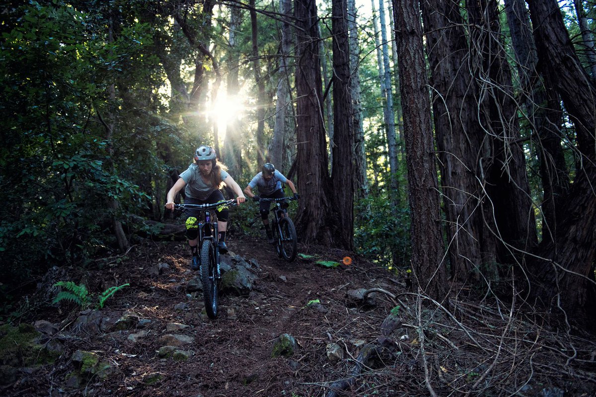 bike shop fox valley