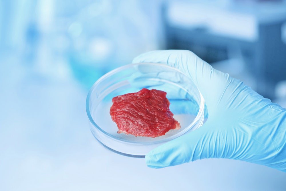 ColvetSevilla's tweet photo. La FDA analizará la seguridad alimentaria de la carne de laboratorio https://t.co/uQIQMDX4nt #Investigación #Innovación #Alimentación #Biotecnología #Veterinarios #ControlAlimentario #SeguridadAlimentaria https://t.co/zaKAosPD41