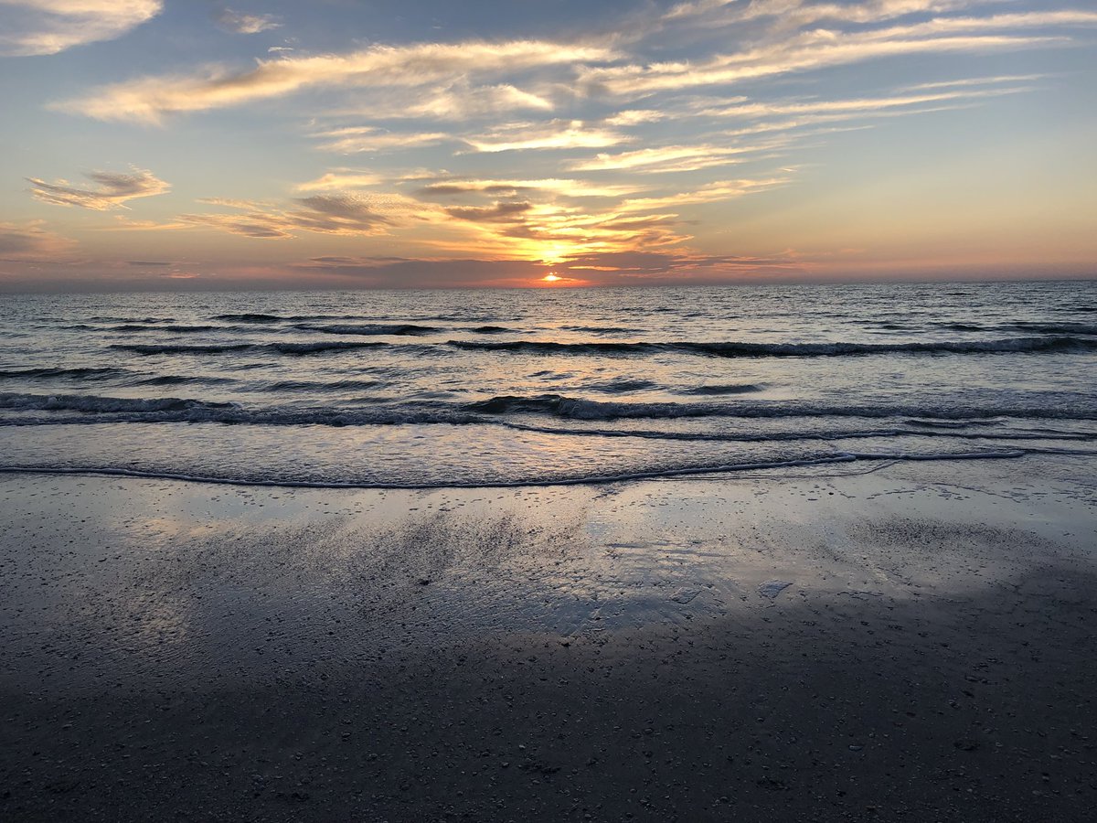 Jerry Albert tweet media