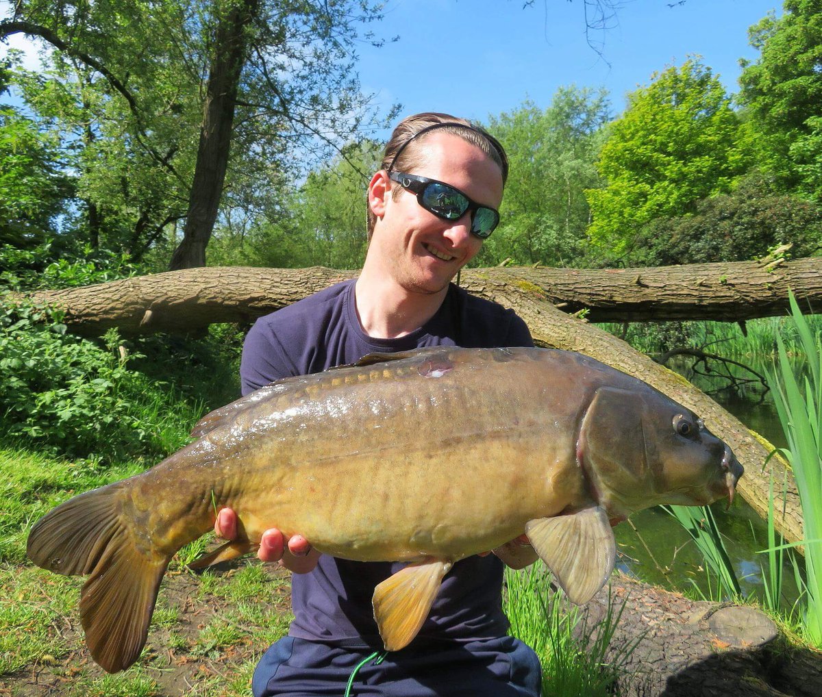 ViperTackleLTD's tweet photo. ⭐️ Catch Report ⭐️ Adam Howard went to the local park for a few hours surface fishing, He cast a breadbomb attatched to a Viper Wide Gape spt the next minute a big pair of lips come up out the water and after a hard battle he slipped his  net under a lovely old mirror. #viper https://t.co/5J67Lptd6C