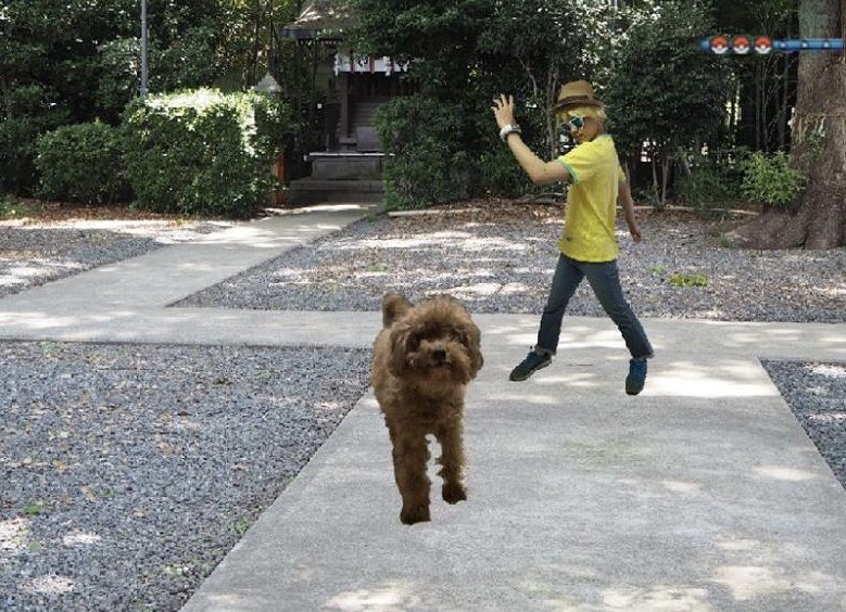 デクシオ デクシオ