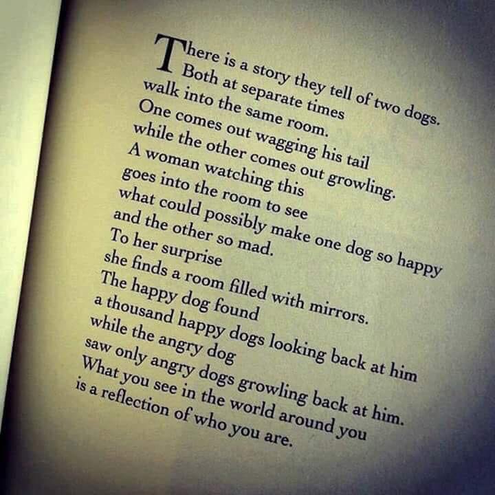nasmith333's tweet photo. Says it all... https://t.co/qFE6uB52AK