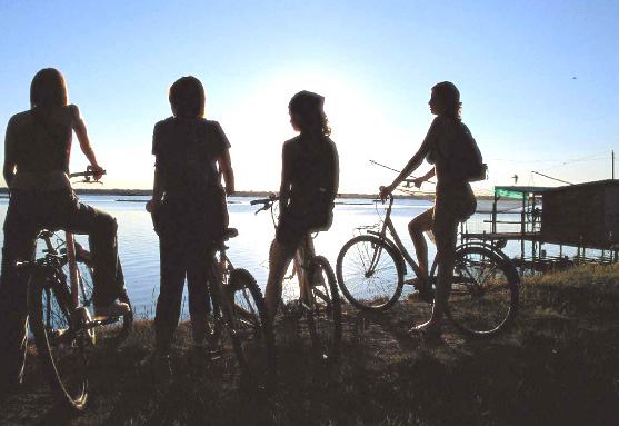ParcoDeltadelPo's tweet photo. Dal 21 Giugno e per tutta l'estate tantissime escursioni a Rosolina mare: bici, barca, birdwatching, degustazioni, trova la tua https://t.co/0k2UEbq8QM https://t.co/S4ysoHKqFD