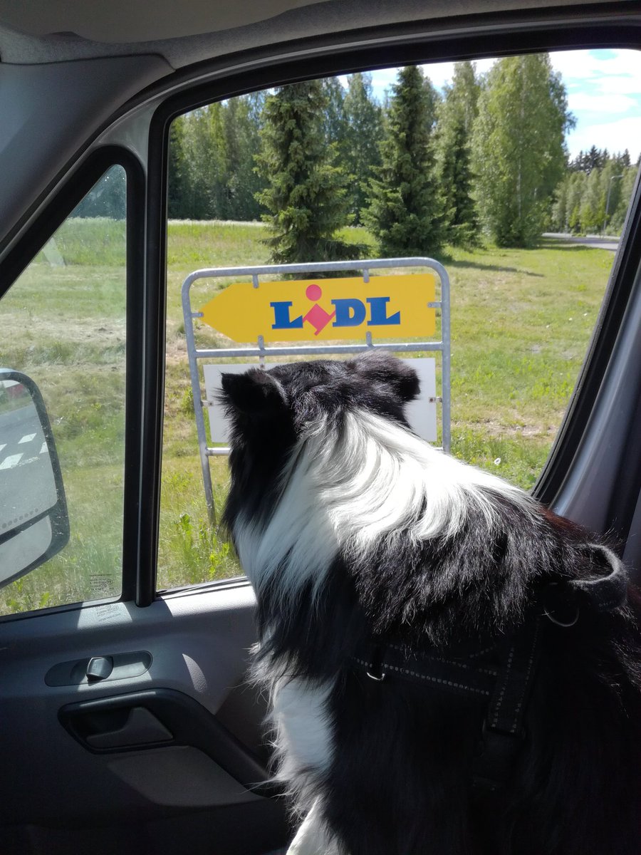 HePentt's tweet photo. #timppalive kesä on vauhdikasta aikaa 😜🚜 https://t.co/aanAEkr33H